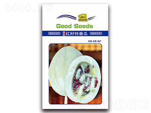 �t�������-��ϷN��-�β���