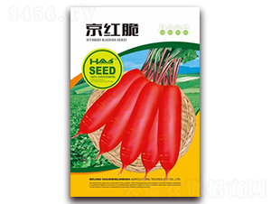 ���t���}��-�}���N��-�β���