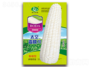 ̫����Ŵ70-��Ŵ���׷N��-�β���