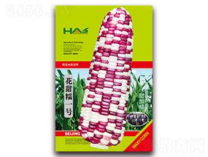 ����Ŵһ̖(h��o)-��Ŵ���׷N��-�β���