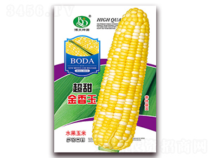 ���������-��Ŵ���׷N��-�β���