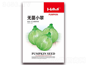 �o��С��-�ϹϷN��-�β���