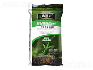 ��(f��)��΢�������-���|(zh��)�w-ʢ������