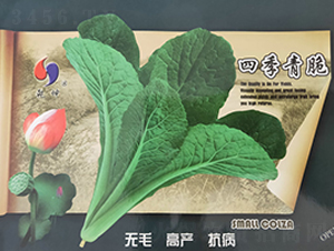 �ļ����-�ײ˷N��-Ǭ���N�I(y��)