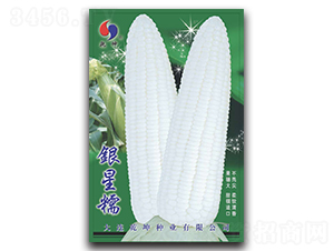 �y��Ŵ-���׷N��-Ǭ���N�I(y��)