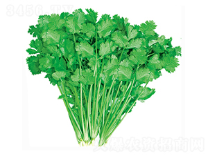 ���147-��˷N��-����