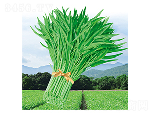 ����_(t��i)�����~���Ĳ�-���Ĳ˷N��-����