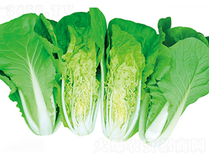 ���\3̖-�ײ˷N��-����