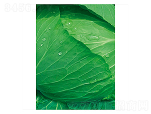 ����-���{(l��n)�N��-����