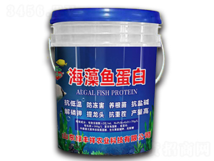 海藻魚蛋白-綠豐祥農業(yè)