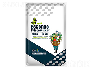 500g��������-���A����-���S�ط�