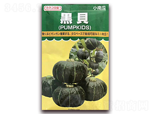 ��ؐ-�ϹϷN��-��˹��