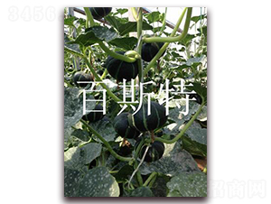 ��ͯؐؐ�����Ϲ�-�ϹϷN��-��˹��