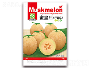 �ۻʺ�-��ϷN��-��˹��