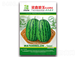 梁鑫碧玉禮品西瓜-西瓜種子-百斯特