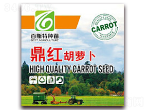 ���t-���}���N��-��˹��