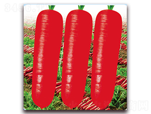 ���uһ̖-���}���N��-��˹��