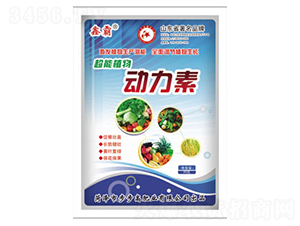 ֲ�������-�ΰ�