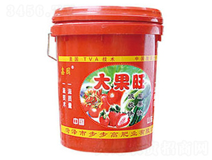 �_ʩ��-�����-�Έ@