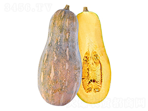 �𴬼t������-�ϹϷN��-����