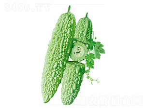 �����̖(h��o)-��ϷN��-����