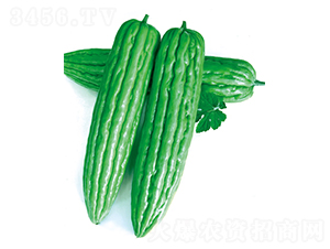 ��׿��̖(h��o)-��ϷN��-����