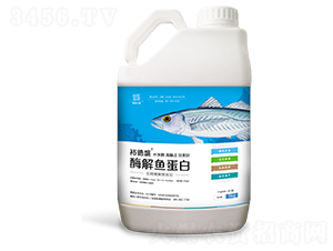 酶解魚蛋白-裕德盛-瑞馳蘭德