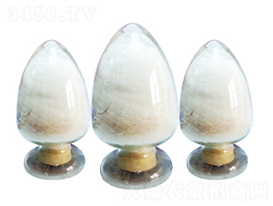 ����(chu��ng)6̖���������ᙎ�����}��-����(chu��ng)����