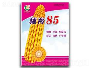 ����85-���׷N��-���S�N�I(y��)