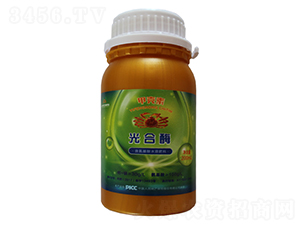 含氨基酸水溶肥料-光合酶-益豐農(nóng)