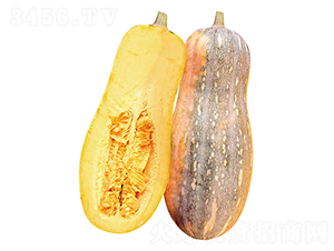 �Ǳ���̖(h��o)-�ϹϷN��-����