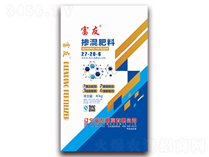 �ߵ����ד������27-20-8-���ѷʘI(y��)