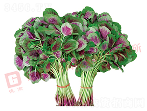 �¸�9̖-�{�˷N��-�¸�