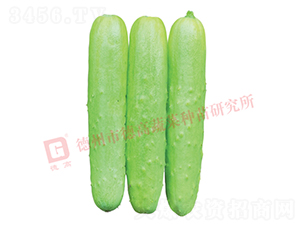 �¸�1928-�S�ϷN��-�¸�