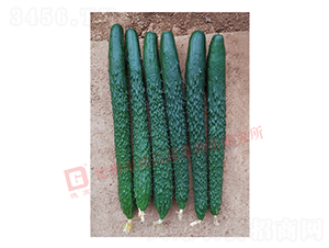 �¸�C28-�S�ϷN��-�¸�