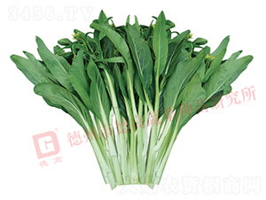 �¸�2027-��޷�N��-�¸�