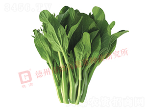 �¸�2099-��޷�N��-�¸�