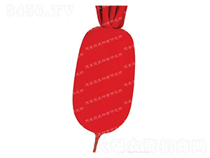 ��t-�tƤ�}���N��-�¸�