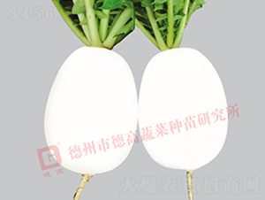 �ߠ���-���}���N��-�¸�