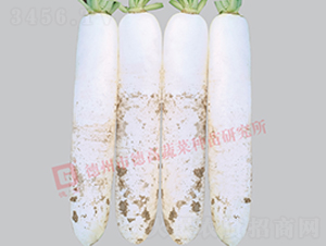 �¸�R192-���}���N��-�¸�