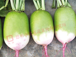 R177-�}���N��-�¸�