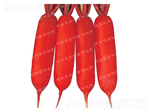 �¸�601-�}���N��-�¸�