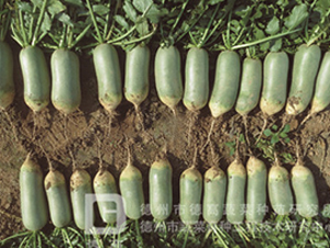 ����-ˮ���}���N��-�¸�