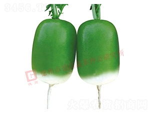 ����-�S�GƤ�}���N��-�¸�