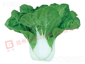 ���Z��1̖-�׹��˷N��-�¸�