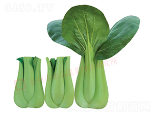 �~������-�¸�670-�๣�˷N��-�¸�