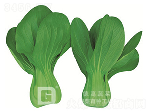 ���_������-�¸��A��-�๣�˷N��-�¸�