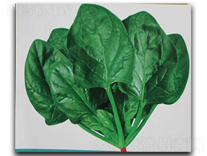 ����-���˷N��