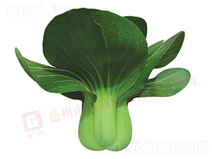 ���_������-�¸�583-�๣�˷N��-�¸�