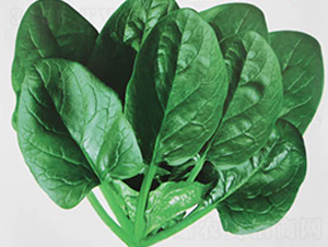 ���m�G��-���˷N��